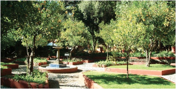 Orange trees-Hacienda of San Gabriel Barrera.jpeg